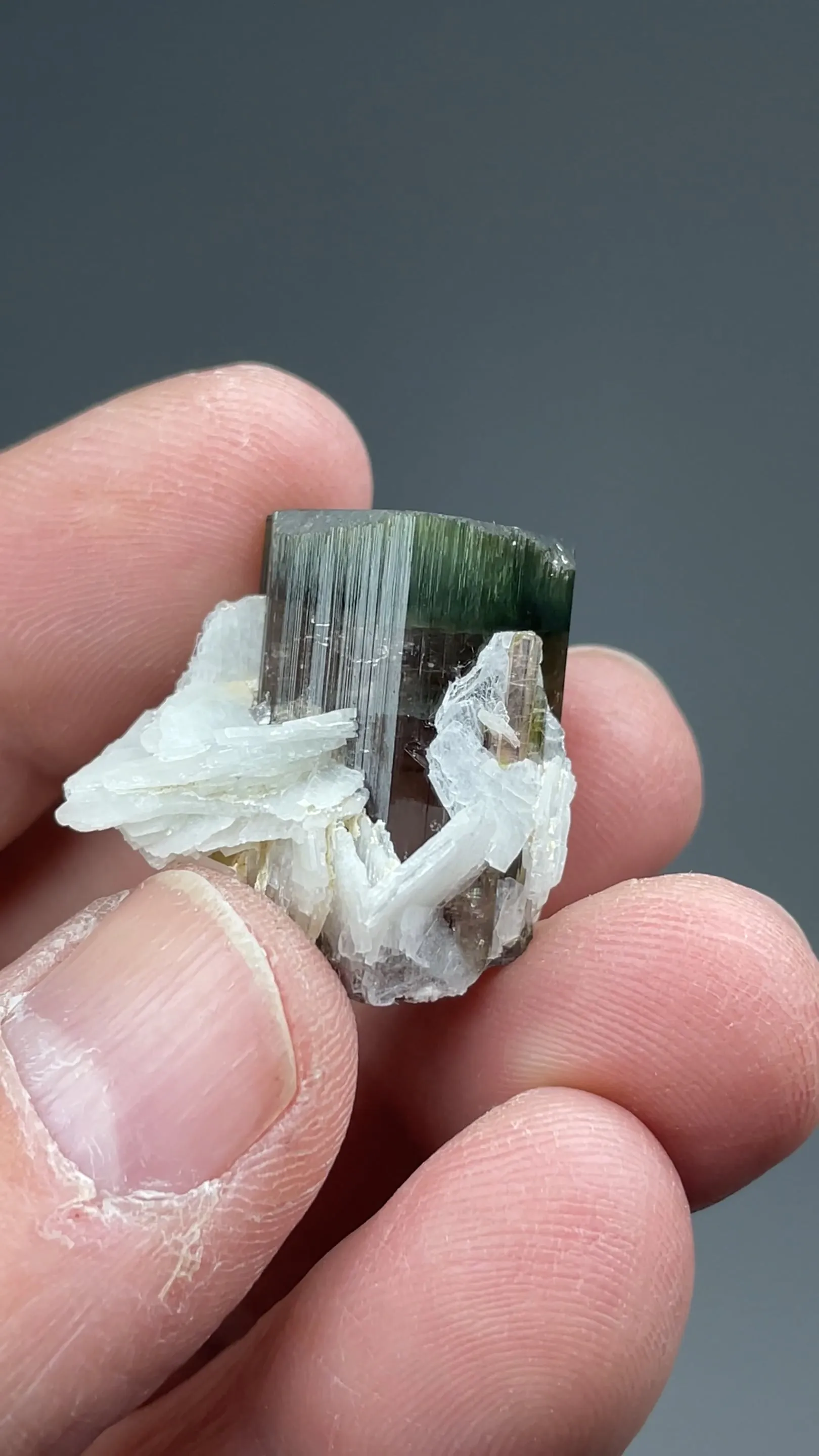 Elbaite with Albite - image 2