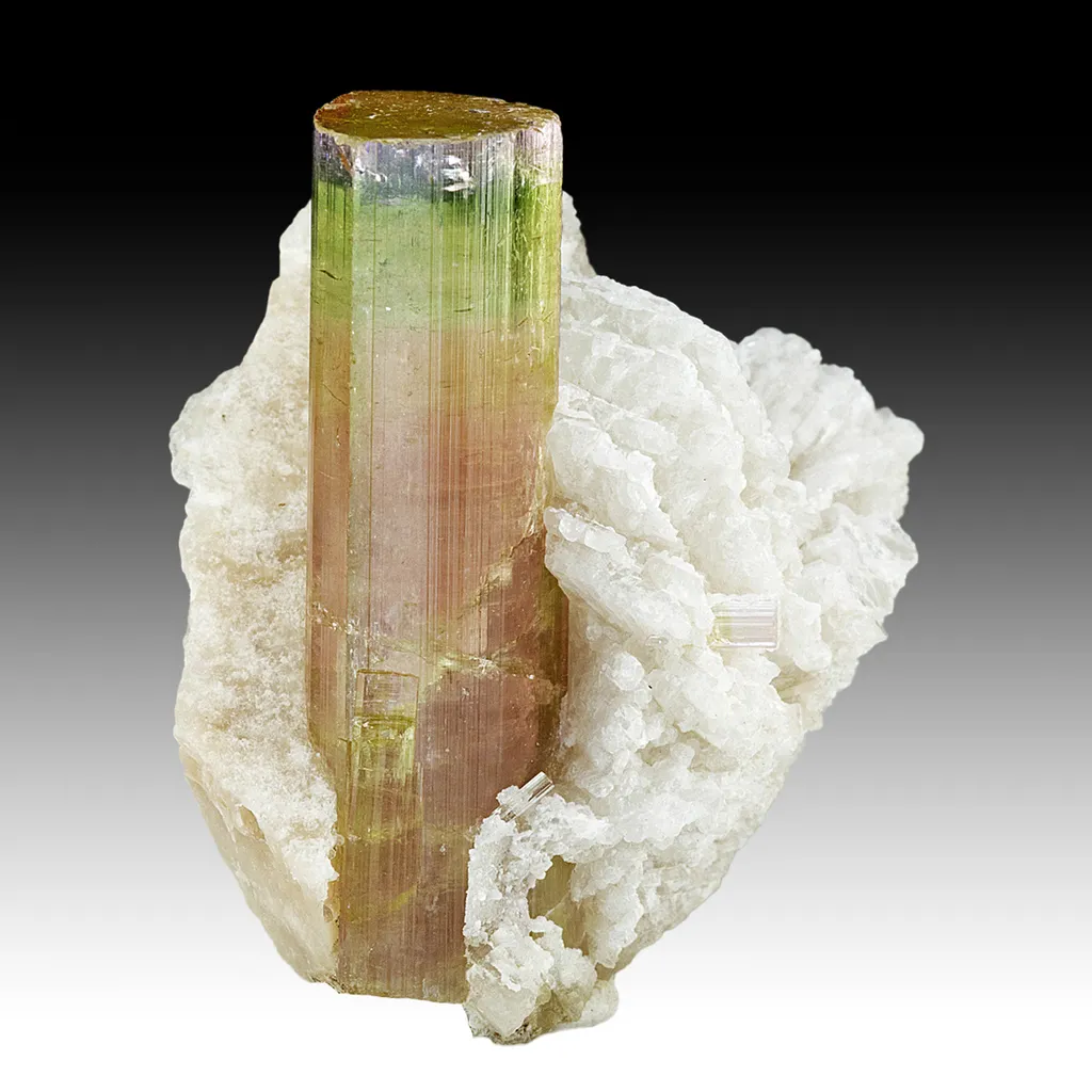 Elbaite with Albite image