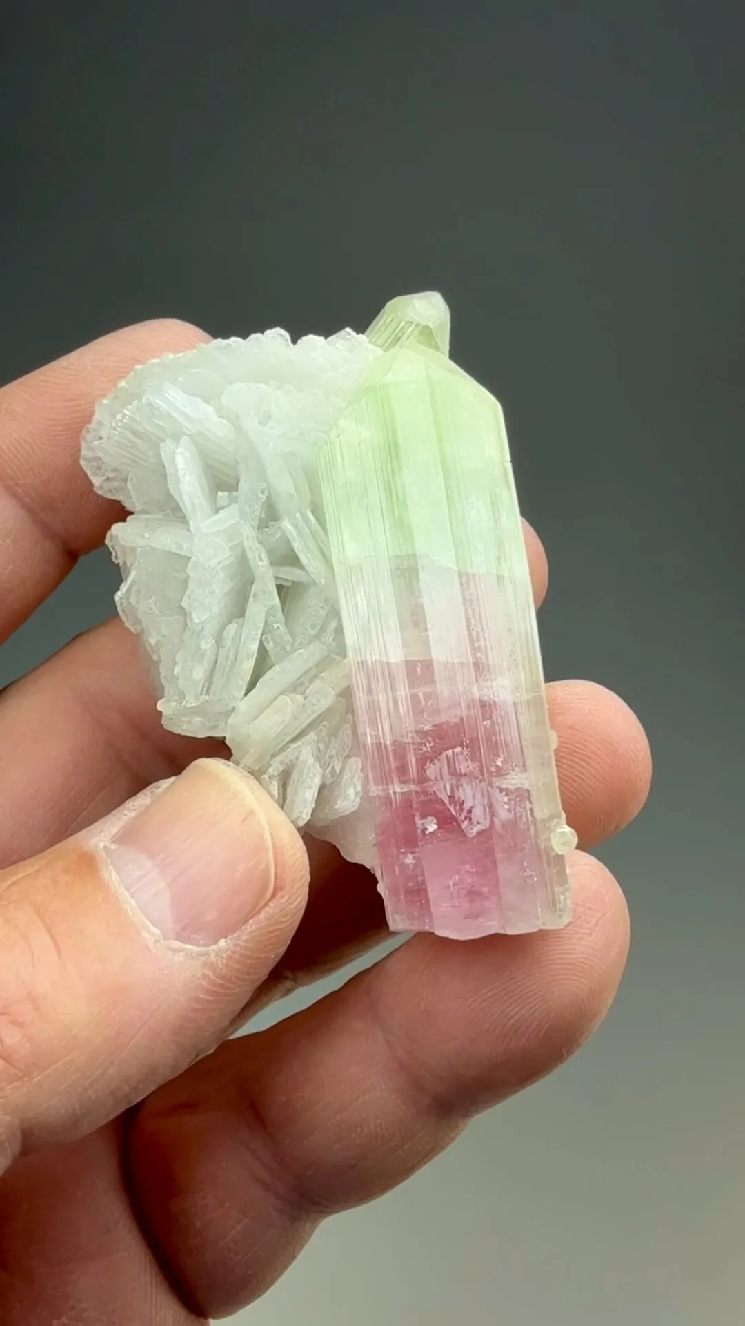 Elbaite with Albite - image 2