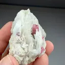 Elbaite with Albite - image 2