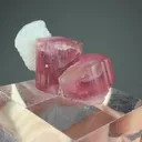 Elbaite with Albite - image 2