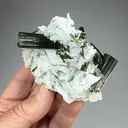 Elbaite with Albite - image 2