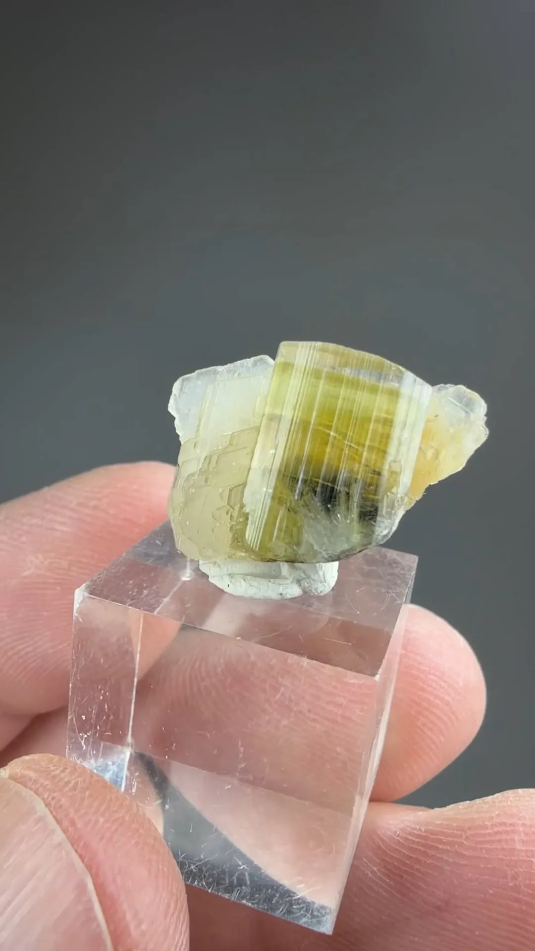 Elbaite with Albite - image 2