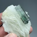 Elbaite with Albite - image 2