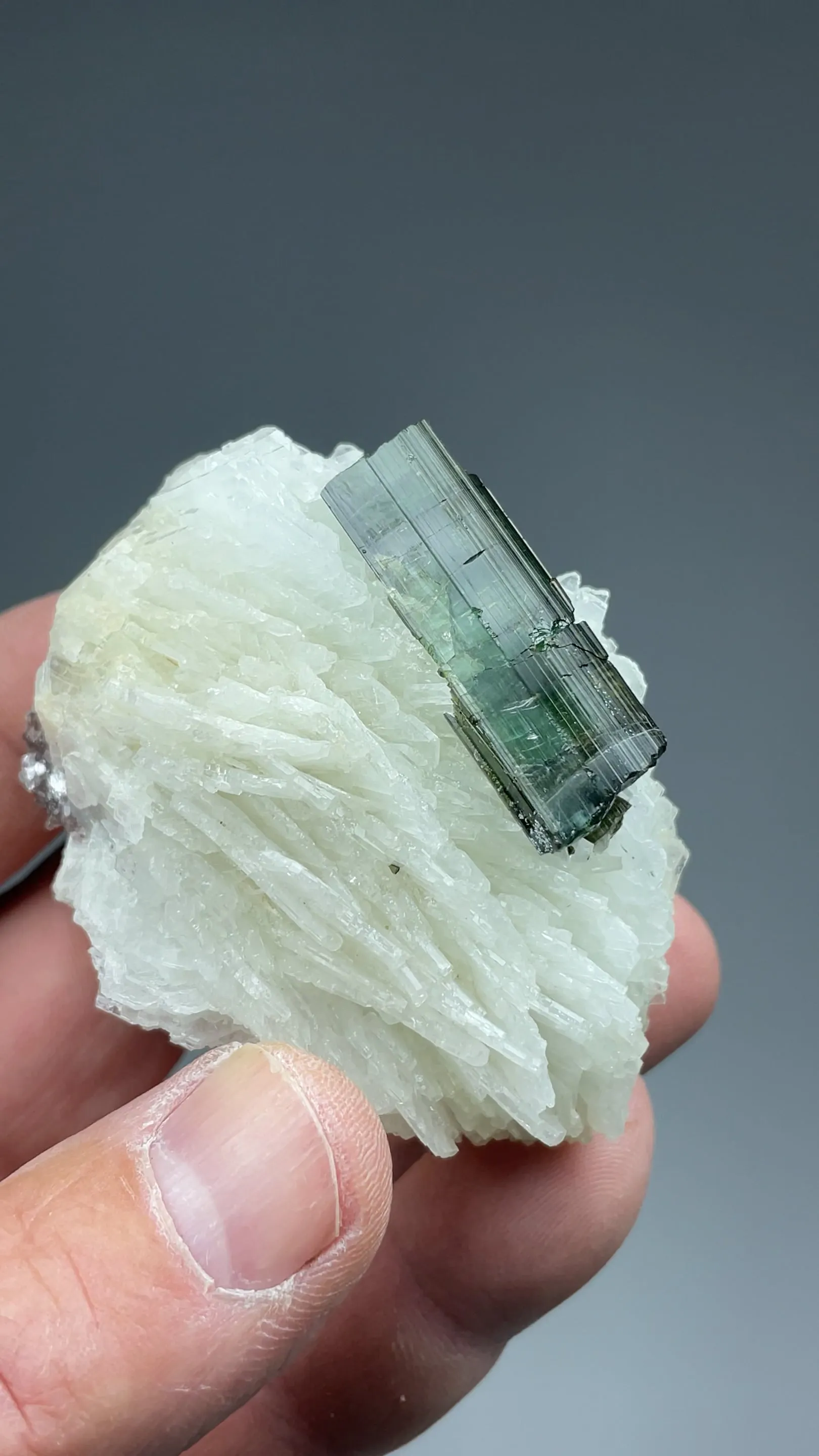 Elbaite with Albite - image 2