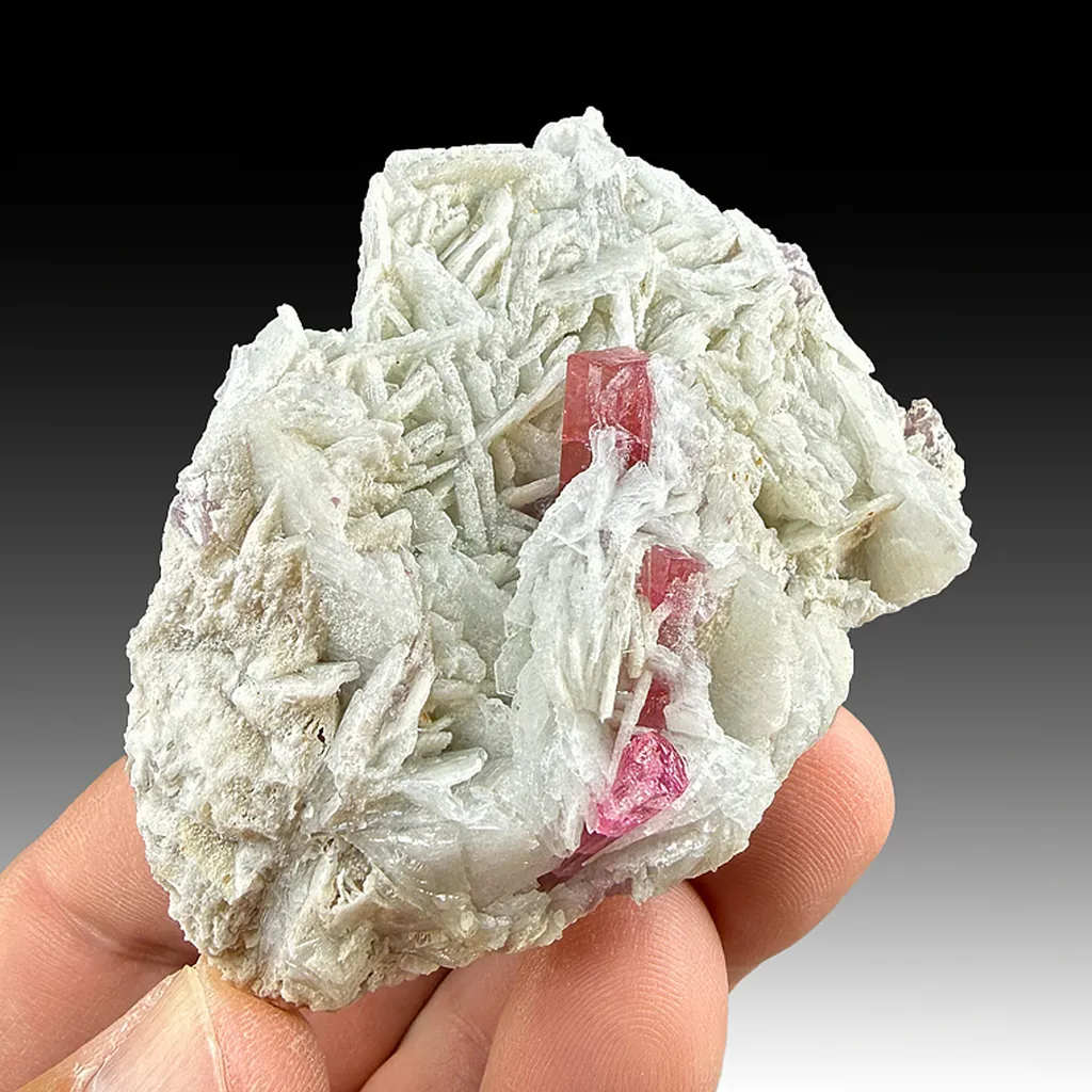 Elbaite with Albite image