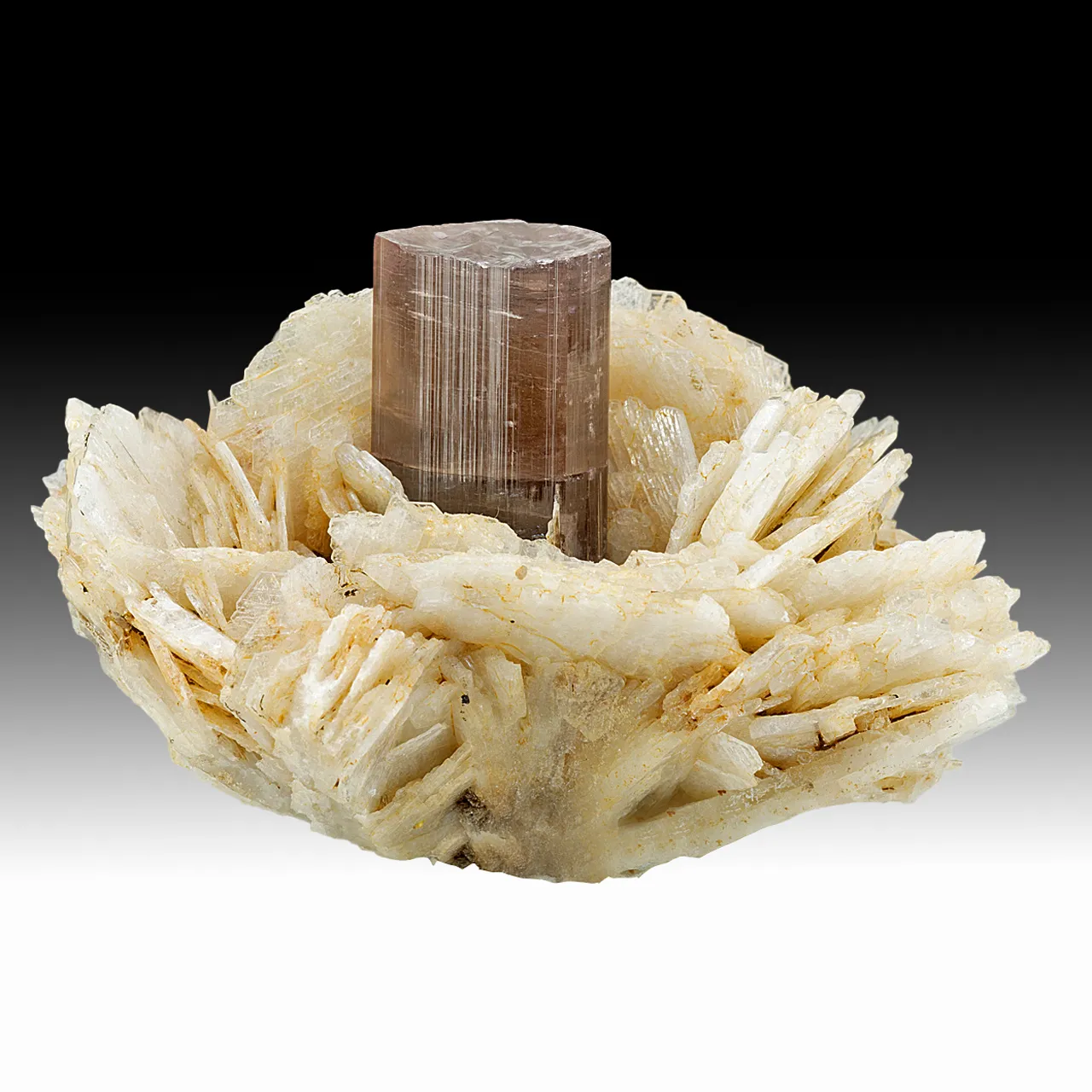 Elbaite with Albite - image 1