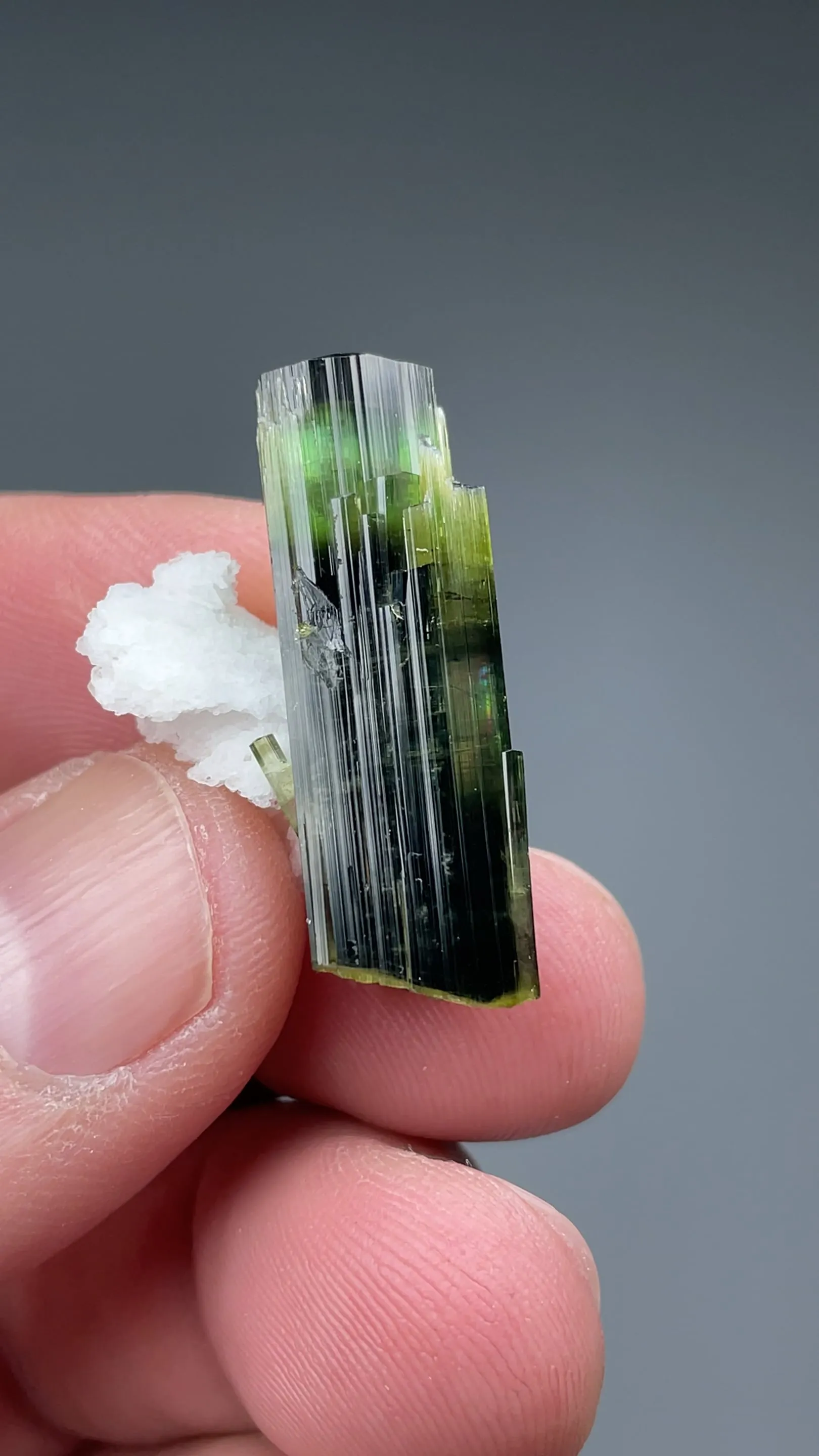 Elbaite with Albite - image 2