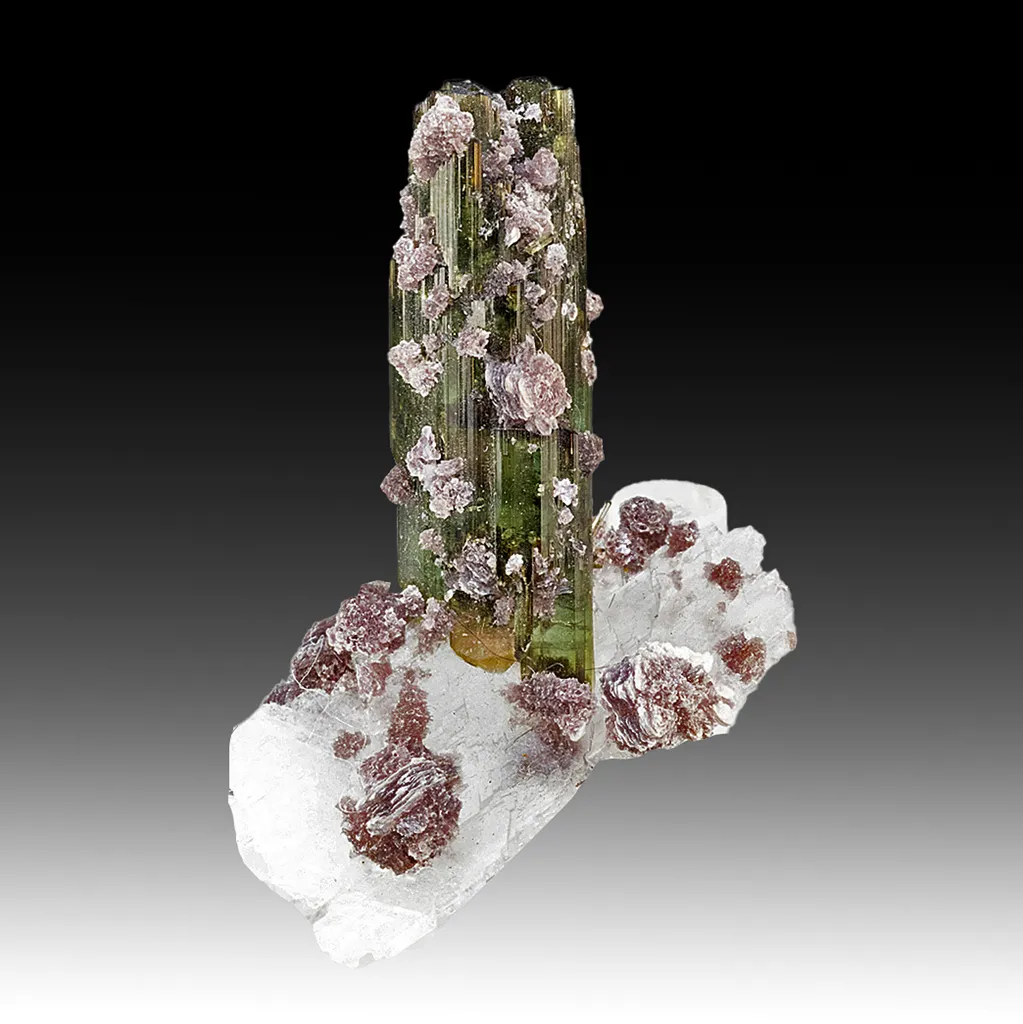 Elbaite with Albite, Lepidolite image