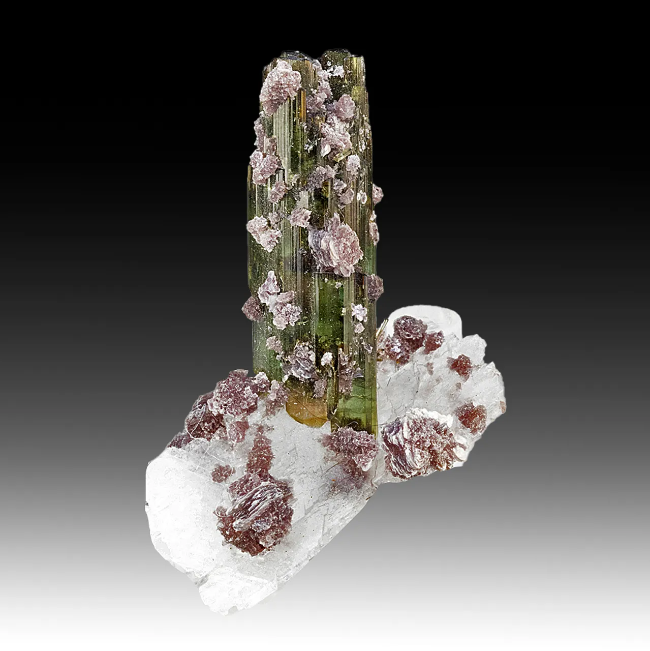 Elbaite with Albite, Lepidolite - image 1