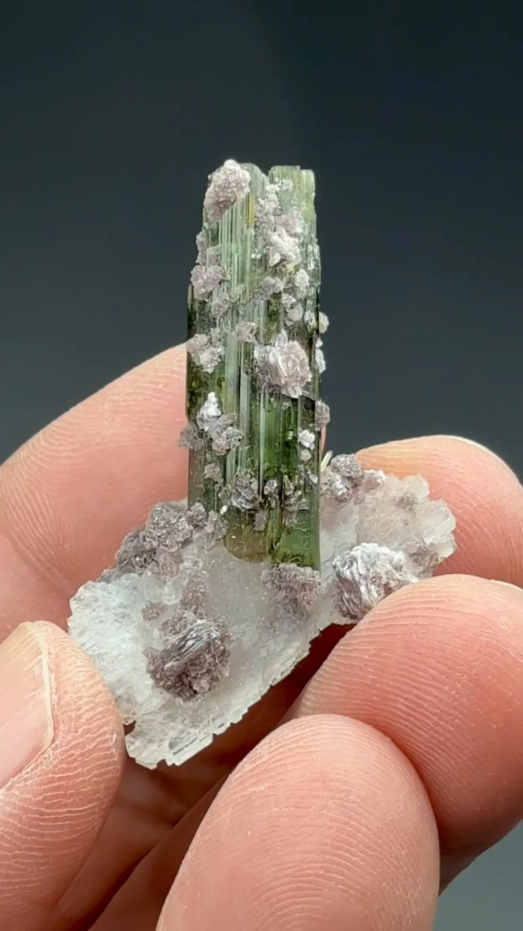 Elbaite with Albite, Lepidolite - image 2