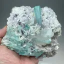 Elbaite with Albite, Lepidolite, Quartz - image 2