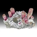 Elbaite with Albite, Microcline, Quartz - image 1