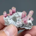 Elbaite with Albite, Microcline, Quartz - image 2