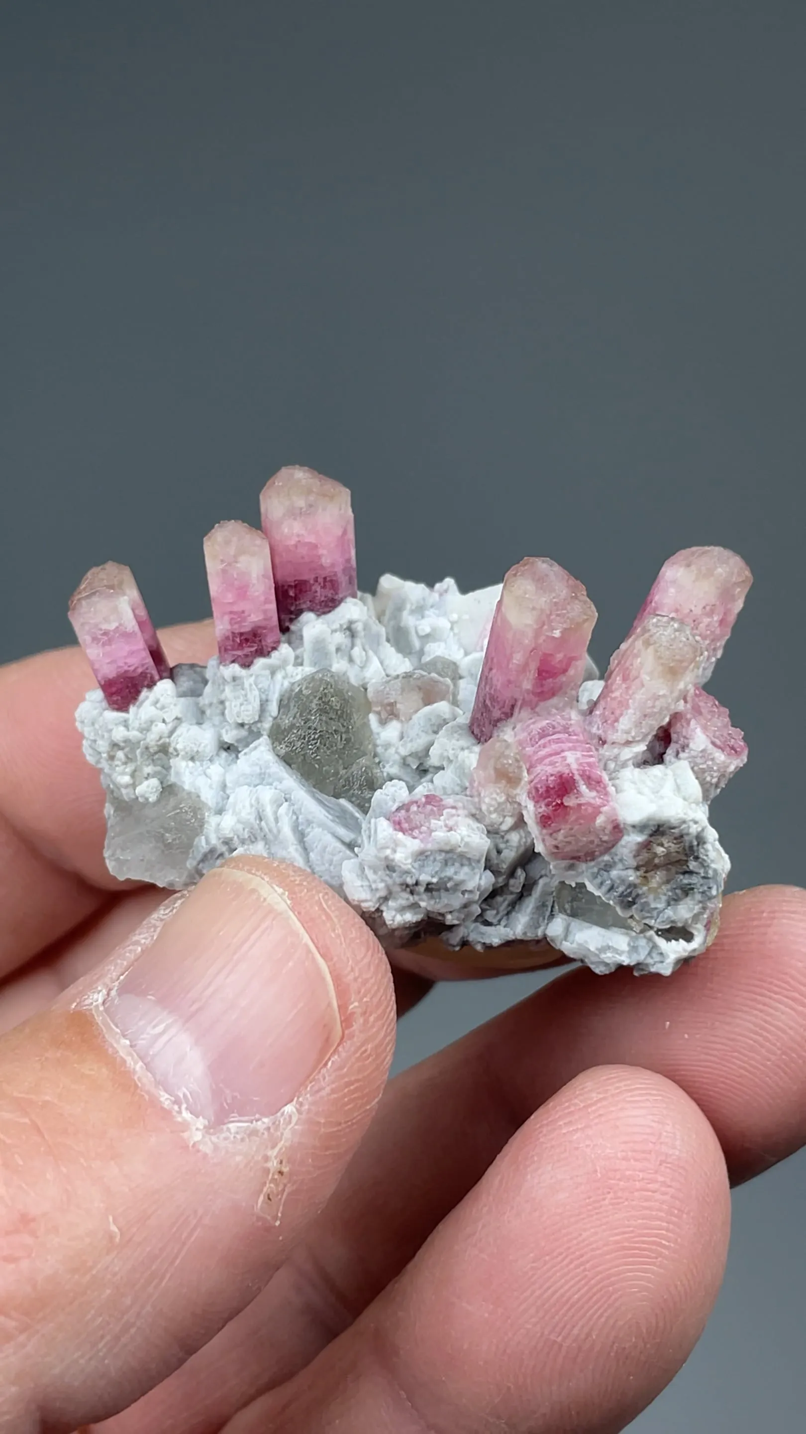 Elbaite with Albite, Microcline, Quartz - image 2