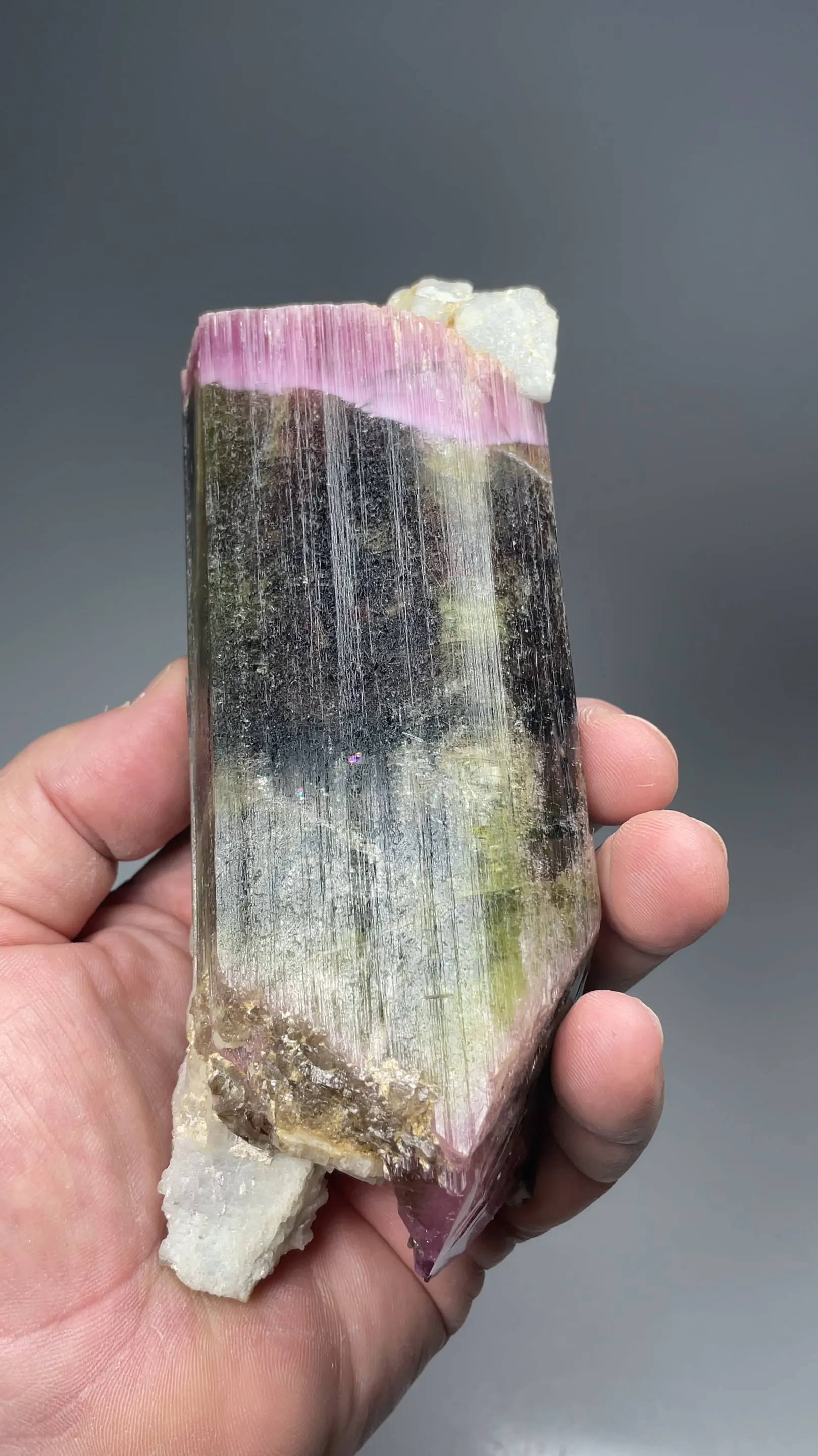Elbaite with Albite, Quartz - image 2