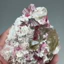 Elbaite with Albite, Quartz - image 2