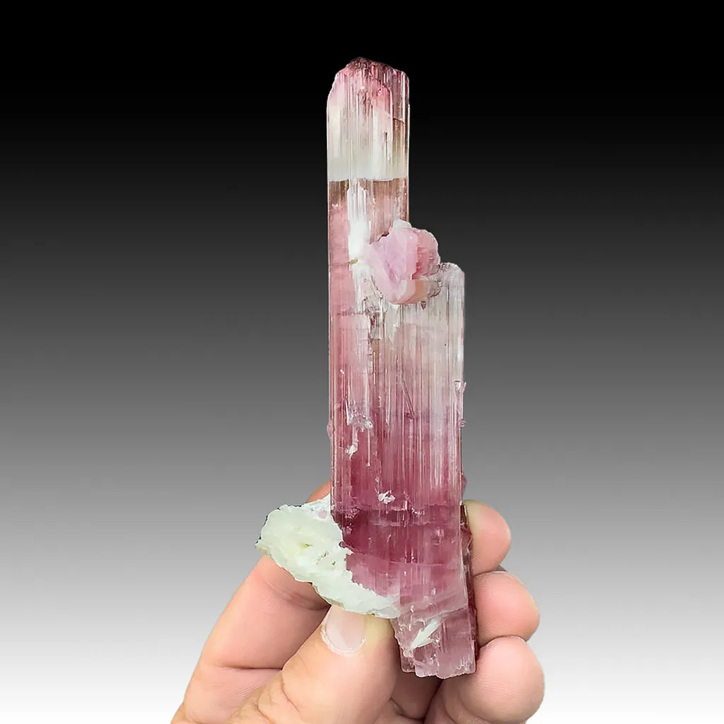 Elbaite with Albite (repaired) image
