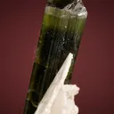 Elbaite with Albite var. Cleavelandite - image 4