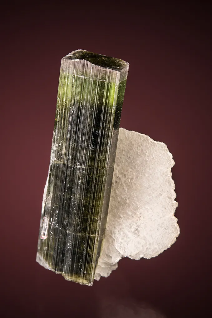 Elbaite with Albite var. Cleavelandite image