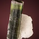 Elbaite with Albite var. Cleavelandite - image 1