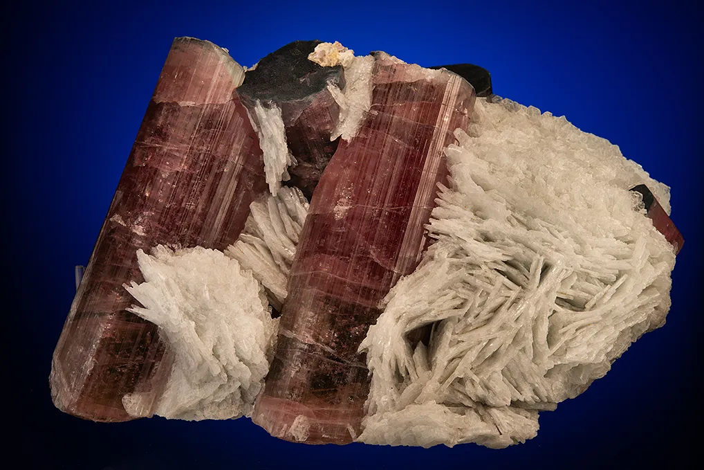 Elbaite with Albite var. Cleavelandite image
