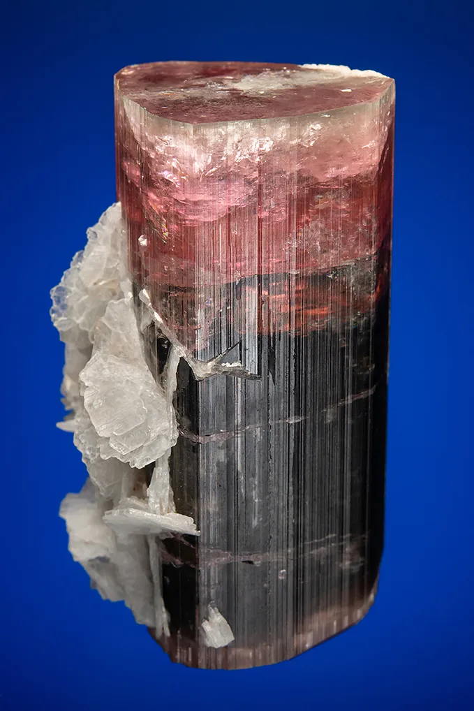 Elbaite with Albite var. Cleavelandite image