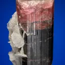 Elbaite with Albite var. Cleavelandite - image 1