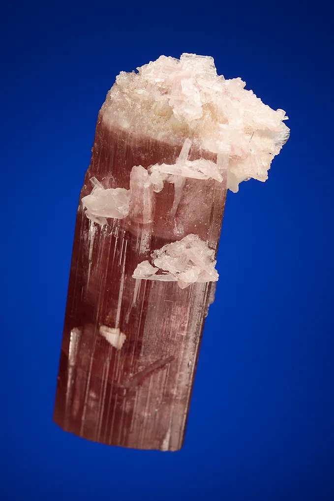 Elbaite with Albite var. Cleavelandite - image 3