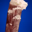 Elbaite with Albite var. Cleavelandite - image 3