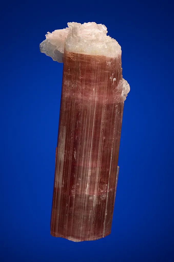 Elbaite with Albite var. Cleavelandite - image 2