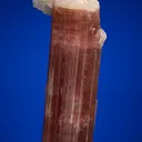 Elbaite with Albite var. Cleavelandite - image 2