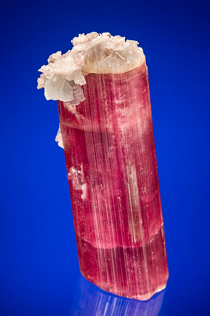 Elbaite with Albite var. Cleavelandite image