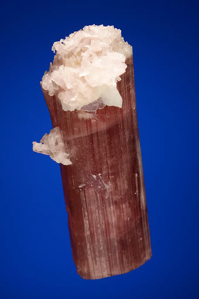 Elbaite with Albite var. Cleavelandite - image 4