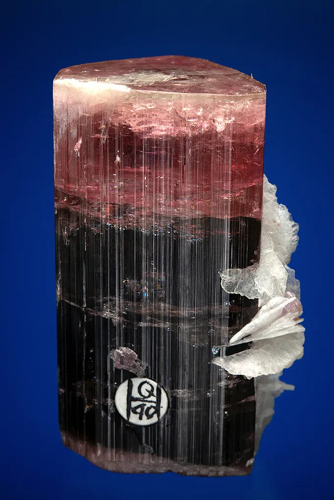 Elbaite with Albite var. Cleavelandite - image 3