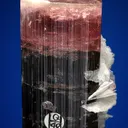 Elbaite with Albite var. Cleavelandite - image 3