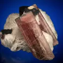 Elbaite with Albite var. Cleavelandite - image 3