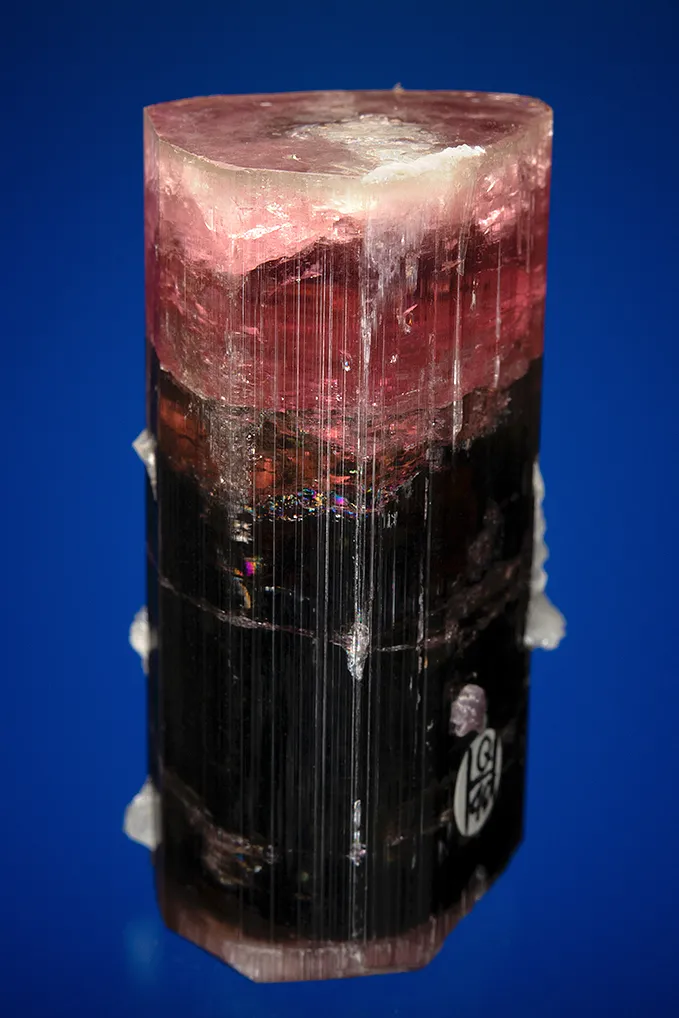 Elbaite with Albite var. Cleavelandite - image 2
