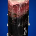 Elbaite with Albite var. Cleavelandite - image 2