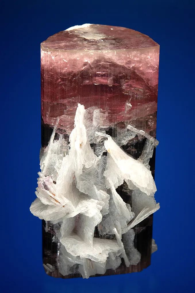Elbaite with Albite var. Cleavelandite - image 4