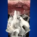 Elbaite with Albite var. Cleavelandite - image 4