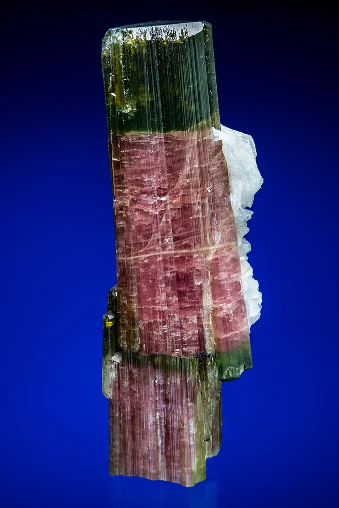 Elbaite with Albite var. Cleavelandite (repaired) image