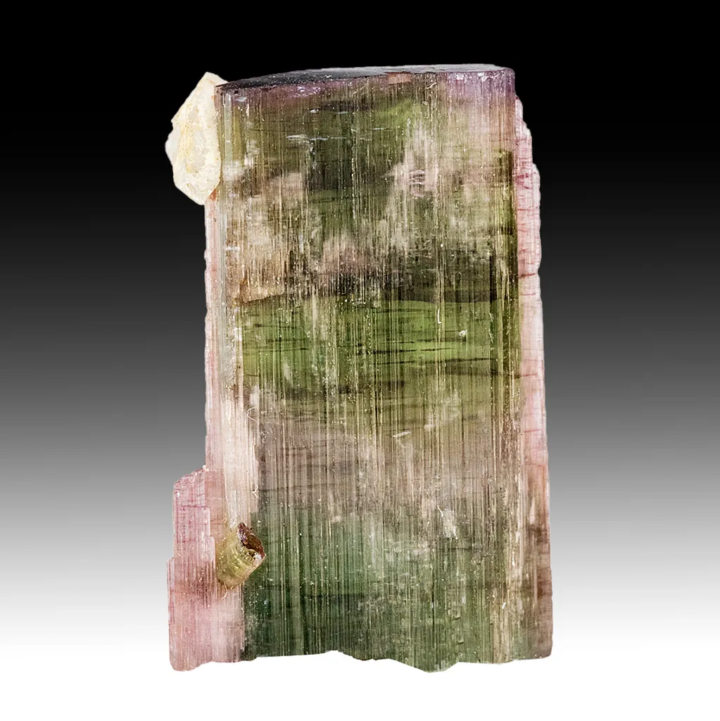 Elbaite with Beryl image