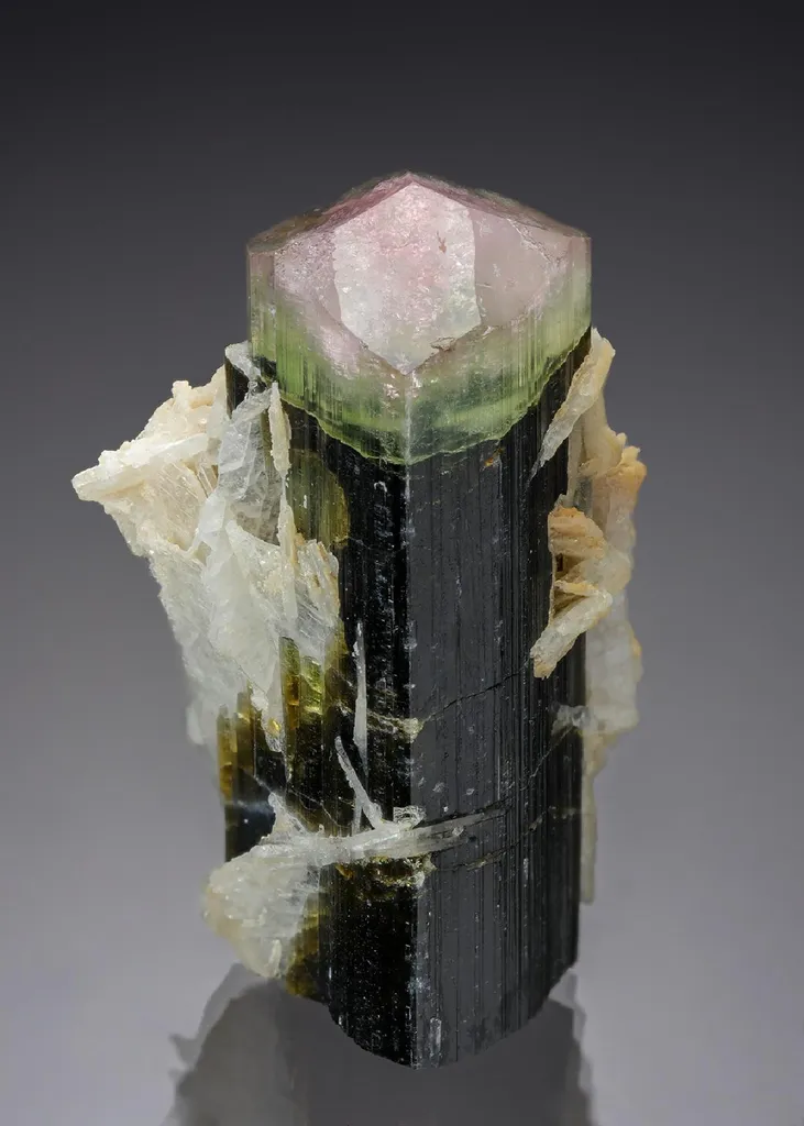 Elbaite with Cleavelandite image