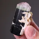 Elbaite with Cleavelandite - image 2