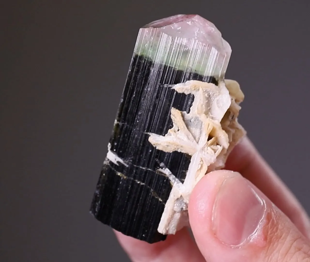 Elbaite with Cleavelandite - image 2