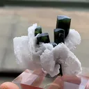 Elbaite with Cleavelandite - image 5