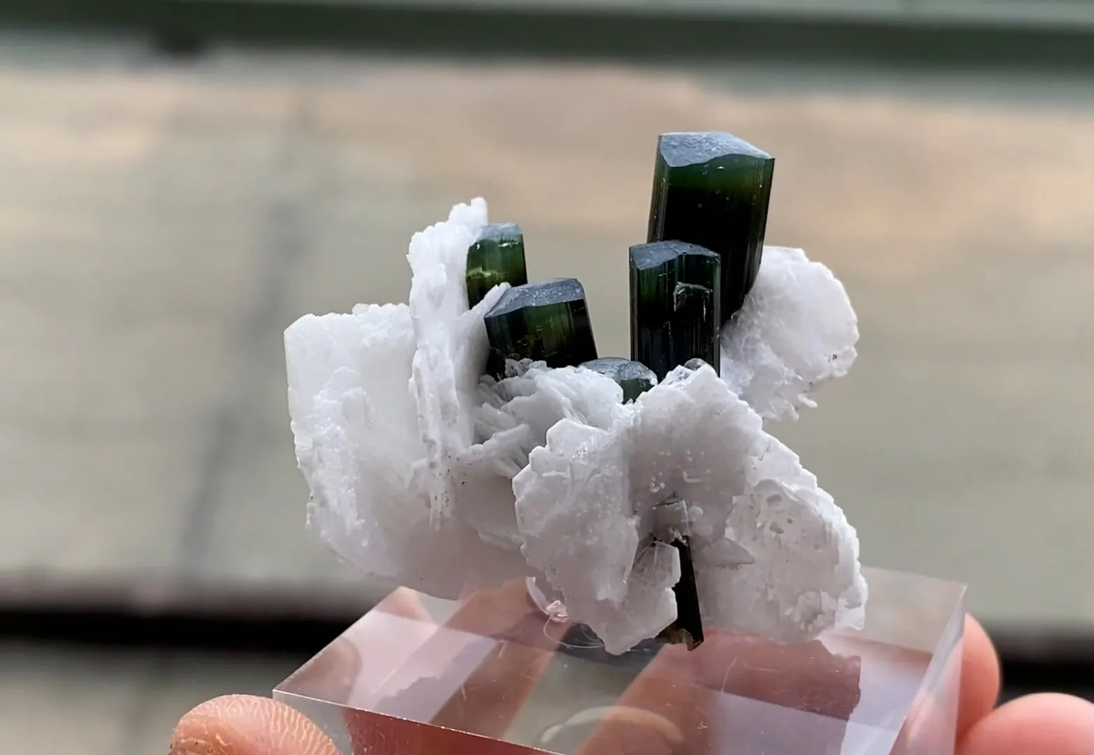 Elbaite with Cleavelandite - image 5