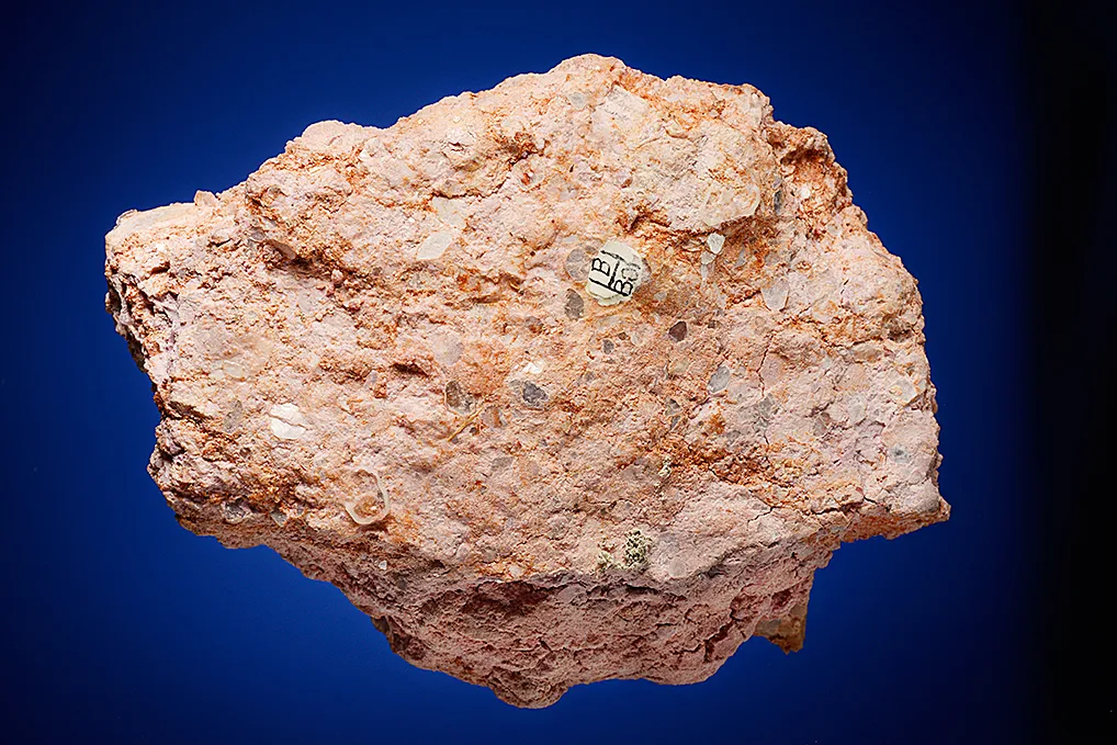 Elbaite with Columbite - image 4