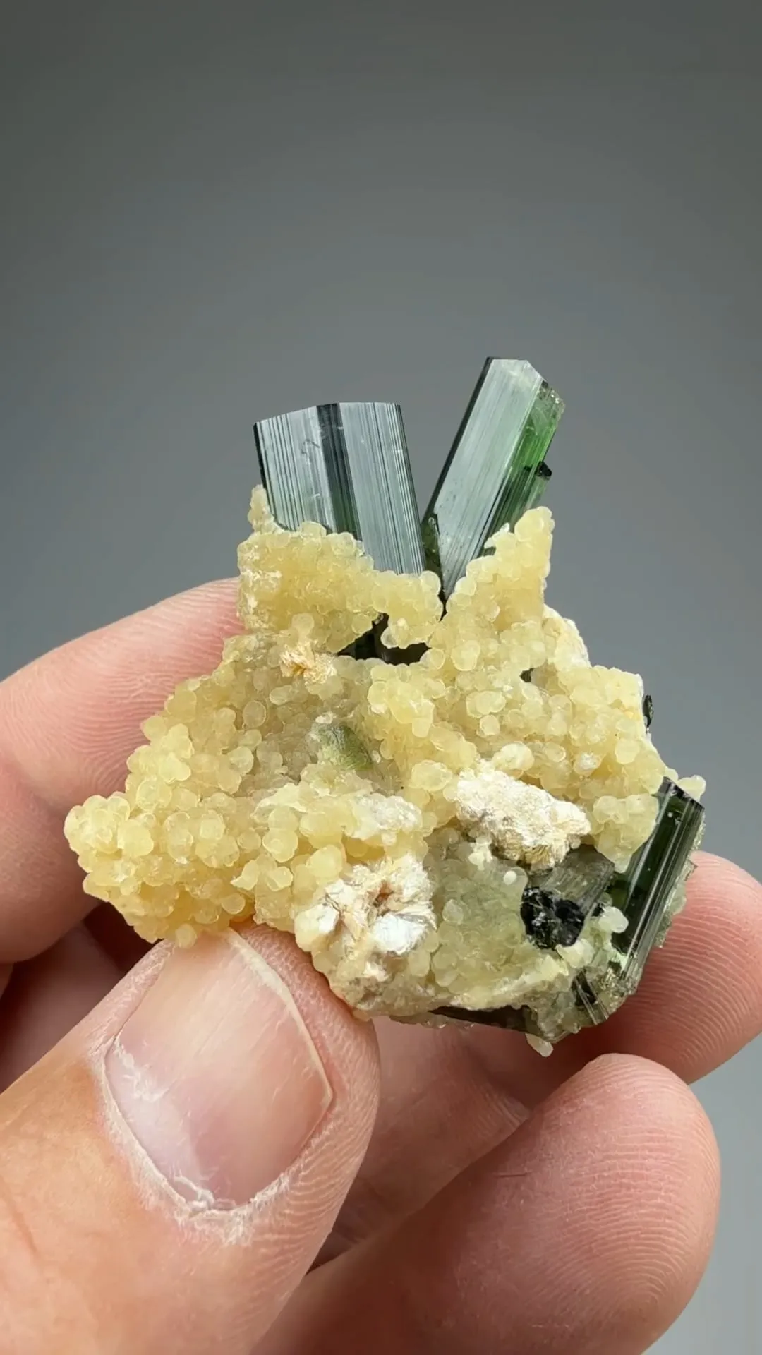 Elbaite with Cookeite - image 2